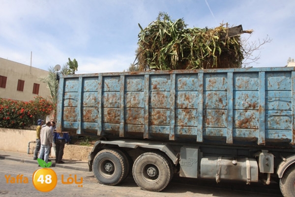 hadm galwash 0311 (6).JPG